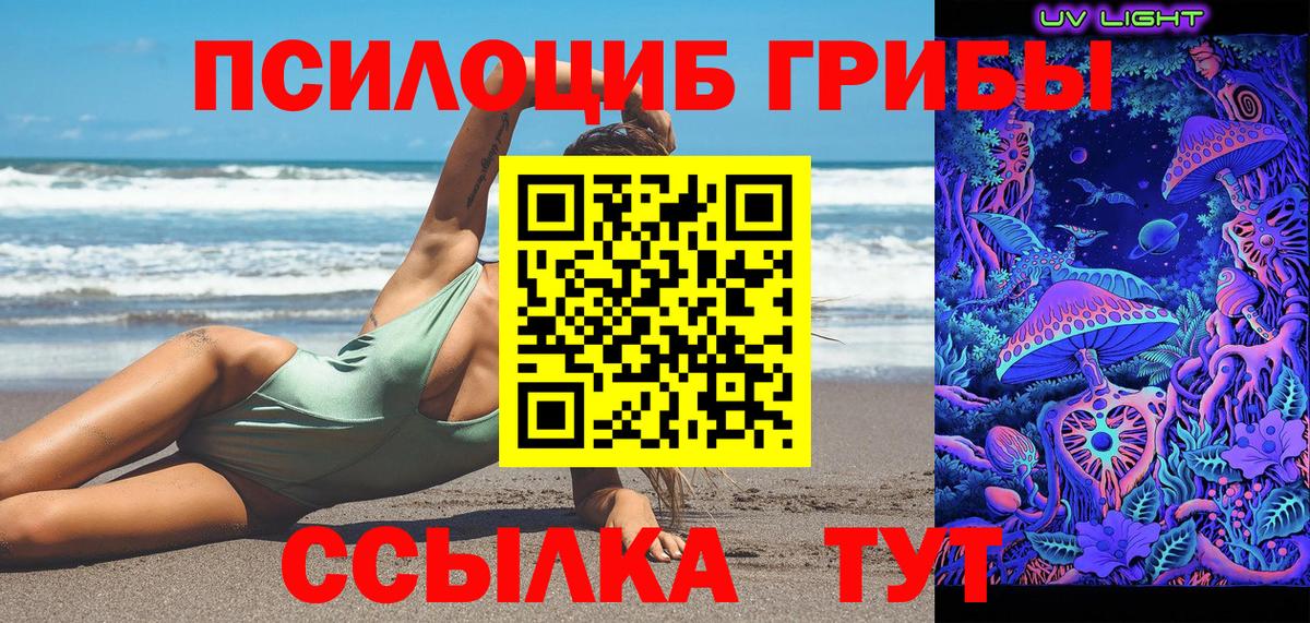 Галлюциногенные грибы прущие грибы  Вход с VPN  Гатчина 